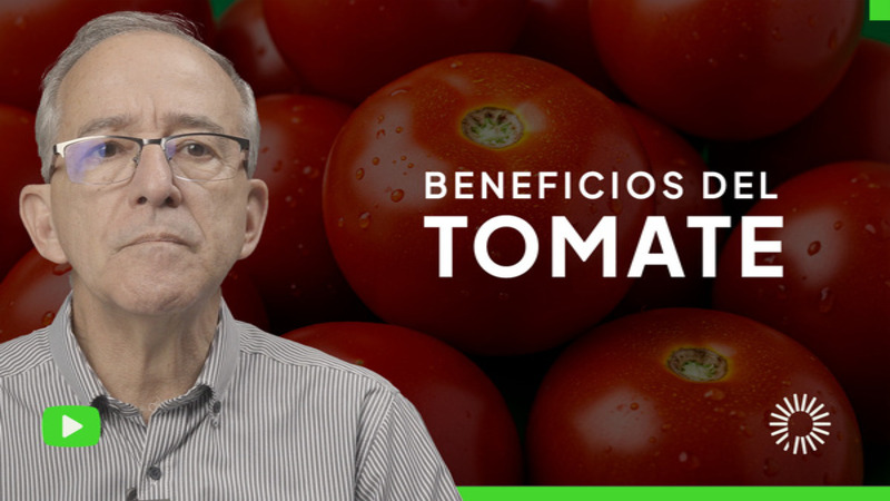 <p>El tomate: un alimento básico en nuestra cocina, ¿pero sabemos realmente todo sobre él?<br />
<br />
En este video, exploramos un aspecto crucial sobre el consumo de tomate que quizás desconozcas. Conoce sus beneficios nutricionales y ciertas consideraciones que debes tener en cuenta para evitar posibles efectos adversos en tu salud.<br />
 </p>